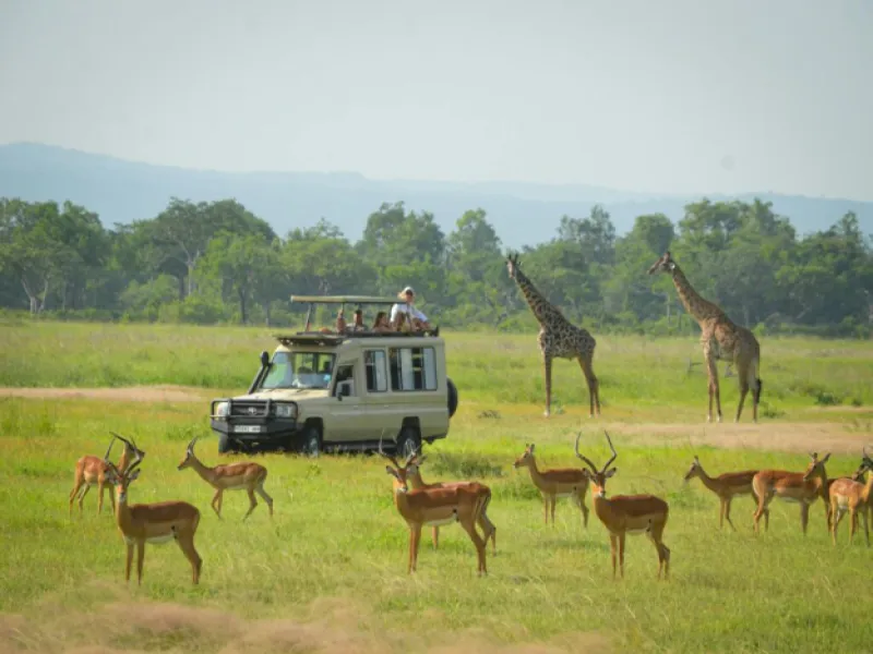 4 Days 3 Nights Tanzania Safari