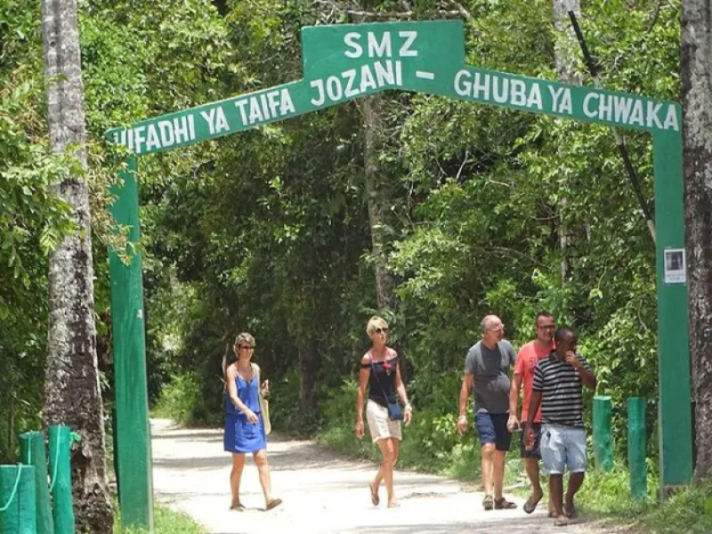 Jozani forest tour